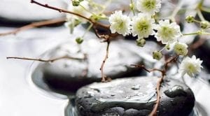 Photo of flat stones in shallow water; for information on Buffalo, NY holistic dentistry from Dr. Krutchick.
